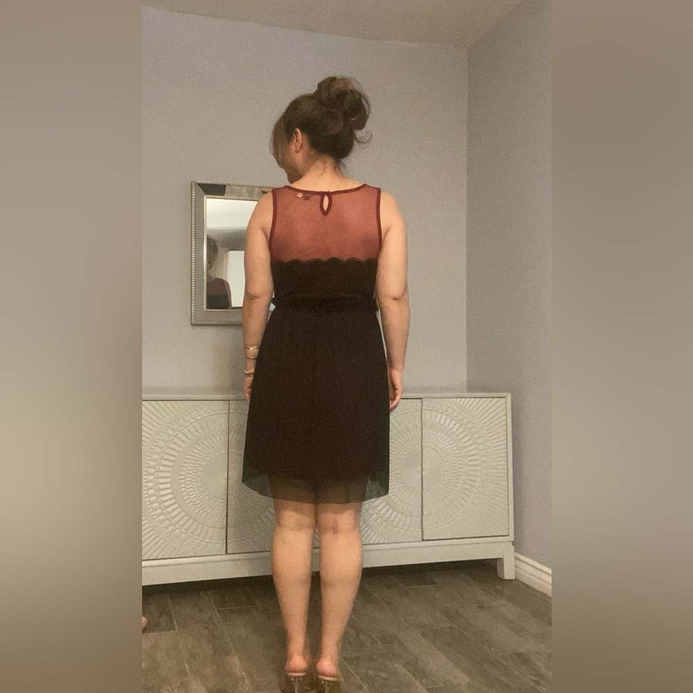 Sheer DRESS - Picture 3 of 13